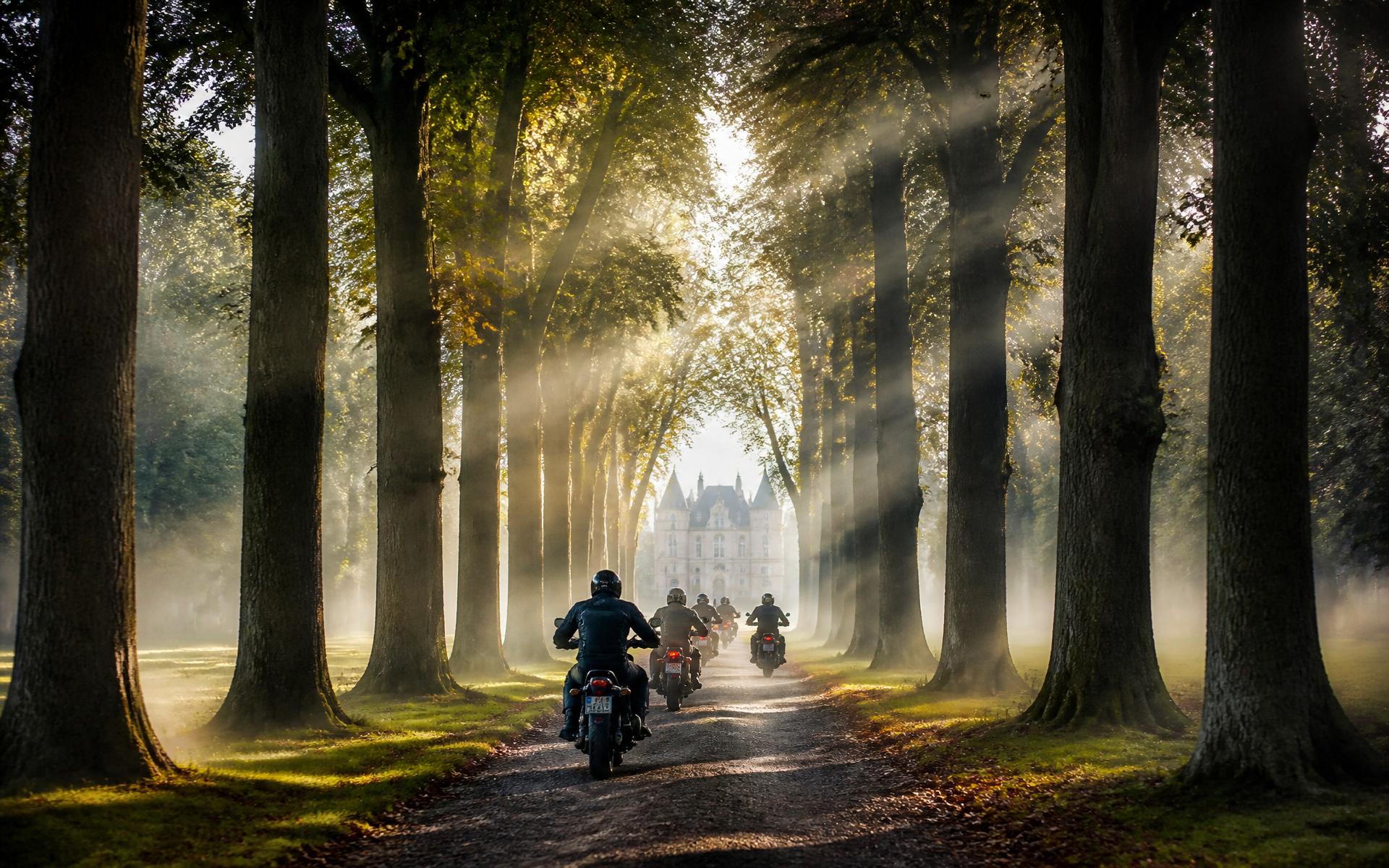 Motards traversant une allée forestière vers un château
